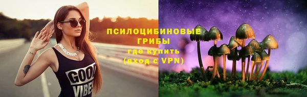 альфа пвп Армянск