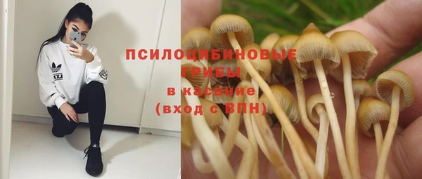 mdpv Арсеньев