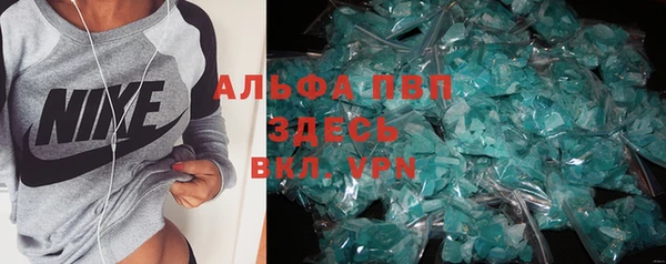 spice Аркадак
