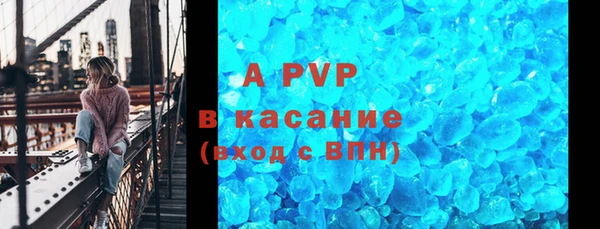 spice Аркадак
