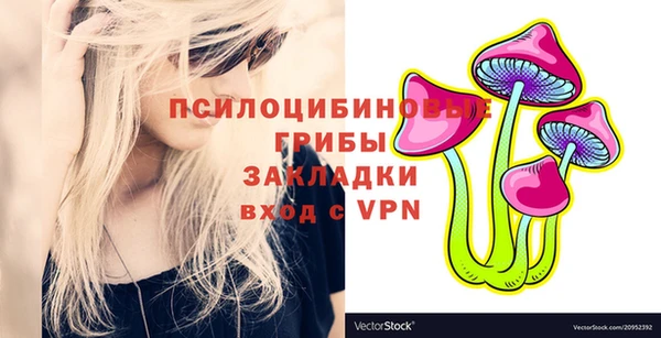 spice Аркадак