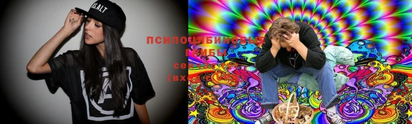 spice Аркадак