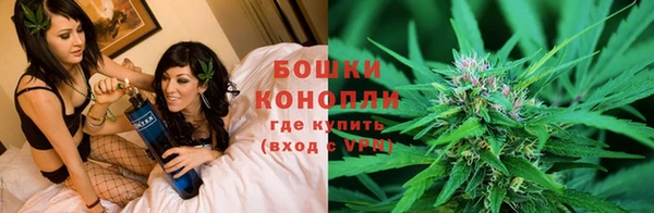 spice Аркадак